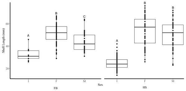 Boxplots of the shell length of Immature (I), Female (F), and Male (M) truncate soft-shell clams collected from Frobisher Bay (FB) and Hudson Strait (HS).
