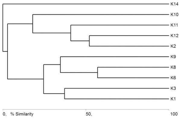 Graph showing faunistic similarities of water beetles between the study sites (K1–14).