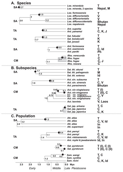 Summary of the splitting time of Formosan saturniids from their close ally species (A), subspecies (B), and populations (C) distributed in East and South Asia.