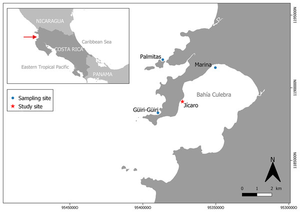 Study and sampling site in Culebra Bay, North Pacific of Costa Rica.