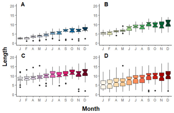 Boxplot compilation of fragment length growth over a year depending on their initial size in Jícaro reef, Culebra Bay (A = 2 cm, B = 5 cm, C = 8 cm, D = all sizes).
