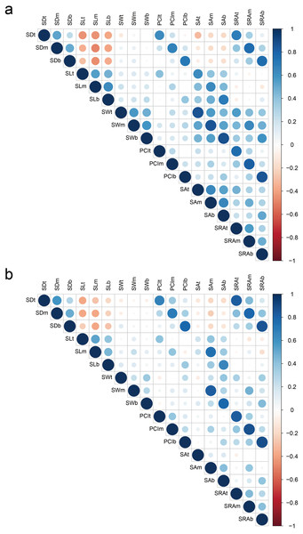 Correlation of stoma-related traits in 2018 (A) and 2019 (B).