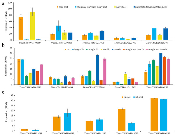 Expression of candidate genes under various abiotic stresses.