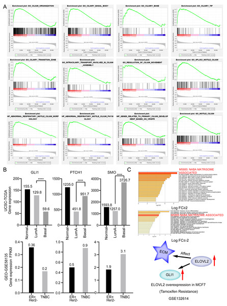 Ciliary characteristics and signal pathway analysis of luminal A and TNBC.