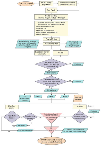 Whole mitochondrial genome sequencing of Malaysian patients with ...