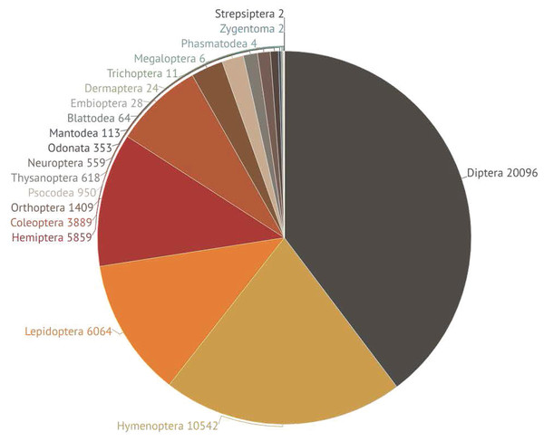 Pie chart showing the number of specimens barcoded from each of the 19 insect orders. Different colors represent different orders. Numbers next to each slice indicate the specimen count for the order.
