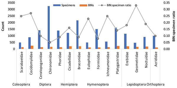 BIN diversity and BIN: specimen ratio for the 15 insect families represented by >100 BINs.