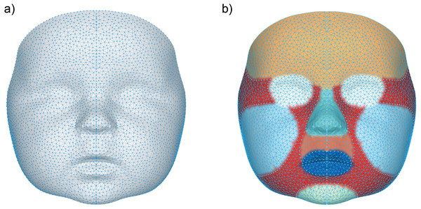 Visualization of the general face template.