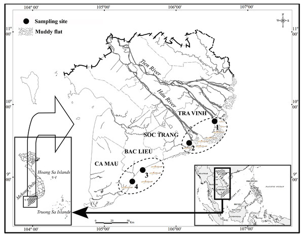 The sampling map in the Mekong Delta (modified from Dinh, 2008).