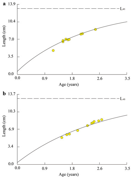 Growth curve of Periophthalmus chrysospilos.