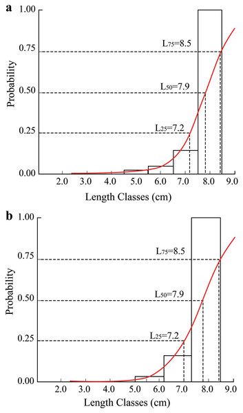 The length converted catch curve of Periophthalmus chrysospilos.