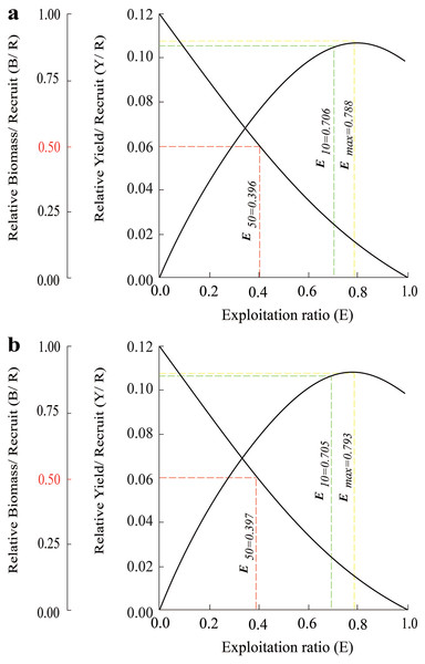 The relative yield-per-recruit (solid curve) and relative biomass-per-recruit (broken curve) using the knife-edge selection procedure of Periophthalmus chrysospilos.