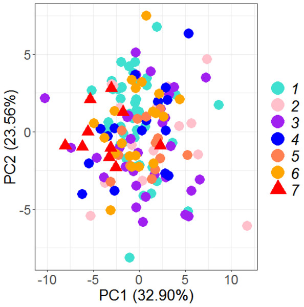 Specimen’s distribution over shape scores on principal components (PC1 vs PC2) in PCA analysis of data matrix 149 × 35.