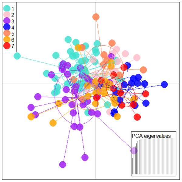 Specimen distribution over shape scores on PCA eigenvalues in DAPC analysis of data matrix 149 × 6PC.