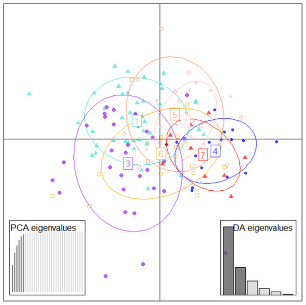 Specimen discrimination among seven locations over PCA & DA eigenvalues in DAPC analysis of data matrix 149 × 6PC.