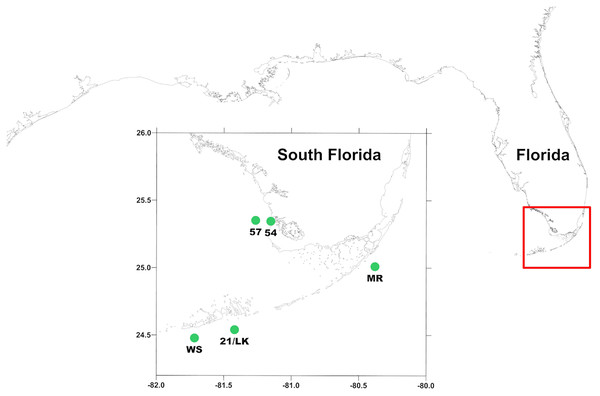Location of sampling stations around south Florida.