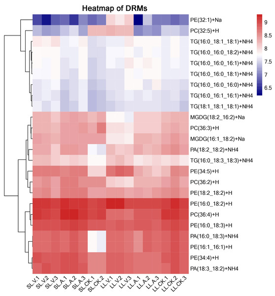 Clustering analysis of identified metabolites in leaves injected with MgSO4, Psm avrRpm1, or Psm ES4326 and distal leaves of plants locally injected with MgSO4, Psm avrRpm1, or PsmES4326.