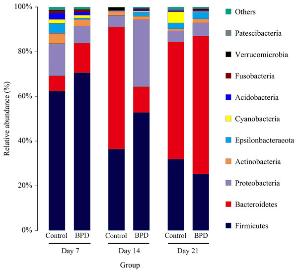 The relative abundance of intestinal microbiota at the phylum level in different periods.