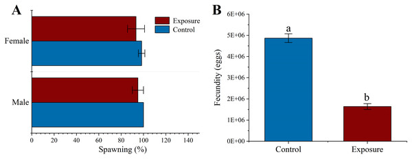 Effects of 21 d HFO exposure on gametes spawning (A) and fecundity (B) (mean ± SD).