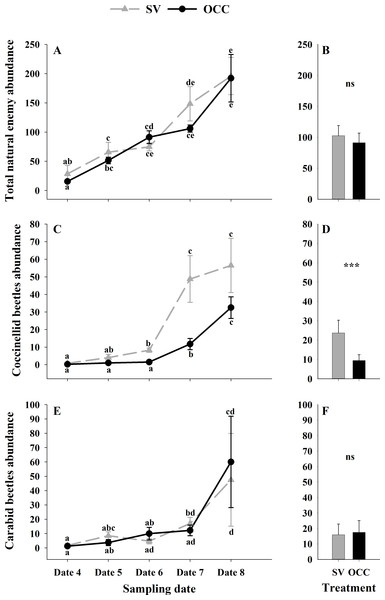 Seasonal abundance of the main natural enemies recorded on plum trees.