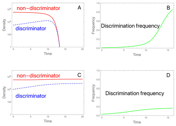 Initial frequencies determine collapse or persistence of a population in the presence of discriminating females that could in principle rescue the population.