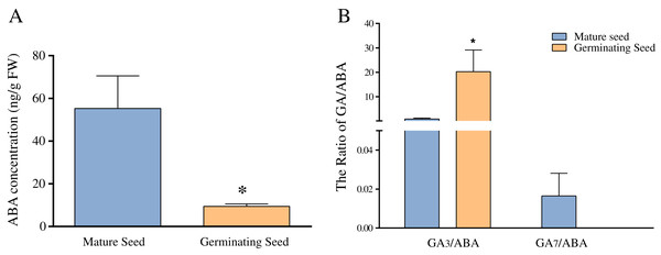 The comparison of ABA concentration (A) and the ratios of GA3/ABA and GA7/ABA (B) in mature and germinating seeds.