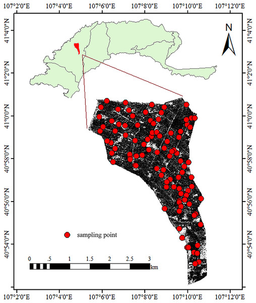 Distribution of the sampling points at the research site.