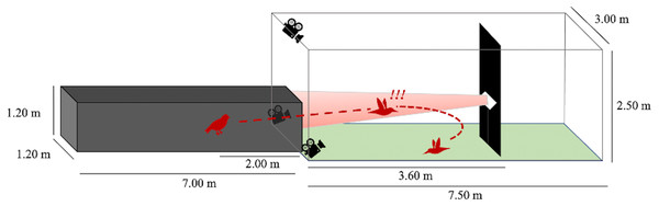 Flight corridor schematic.