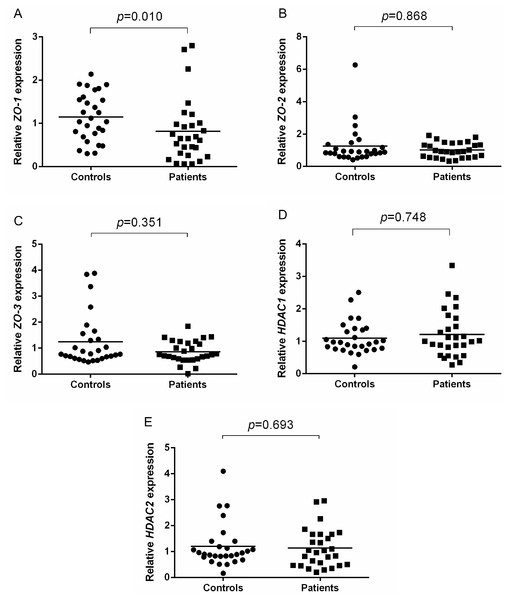 Relative ZOs and HDACs expression of AR patients and healthy controls.