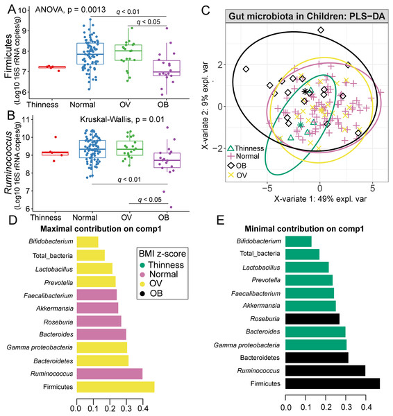Partial least squares discriminant analysis (PLS-DA) of gut microbiota in school-aged children with different BMI z-score groups.