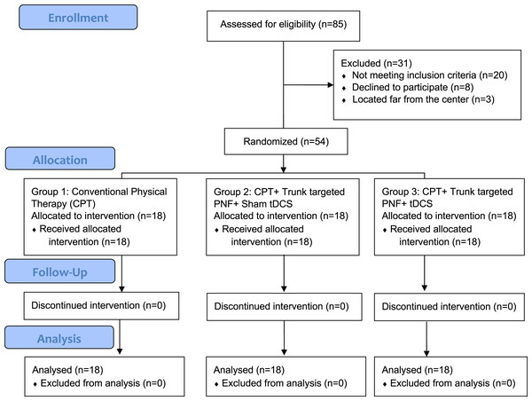 Showing enrollment, allocation, follow-up, and analysis of number subjects.