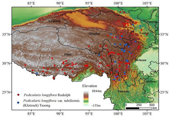 Species distribution occurrence records of Pedicularis longiflora Rudolph and Pedicularis longiflora var. tubiformis (Klotzsch) Tsoong in China and the Tibet Autonomous Region.