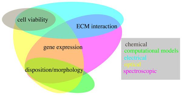 Schematic representation of the techniques presented within this work (coloured ovals) and of their use to quantify different biological variables (text fields).