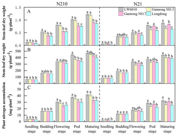 Effects of nitrogen levels on stem-leaf dry weight (A), root length (B) and plant nitrogen accumulation (C) for different nitrogen efficiency cultivars.