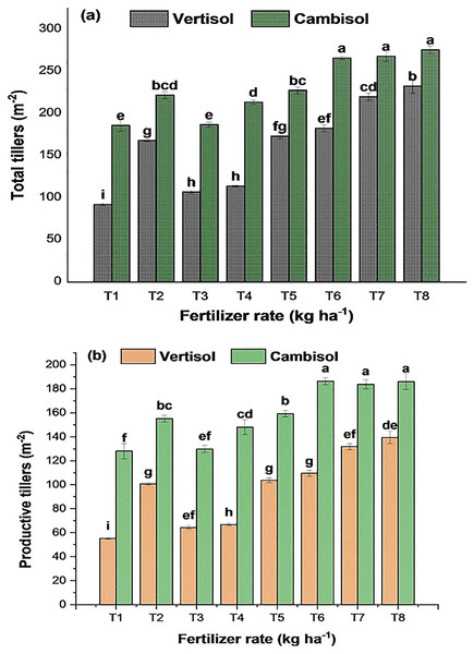 Interaction eﬀects of soil type and fertilizer rate on (A) total tillers (m−2) and (B) productive tillers (m−2) of bread wheat (two seasons pooled data: 2017–2018).
