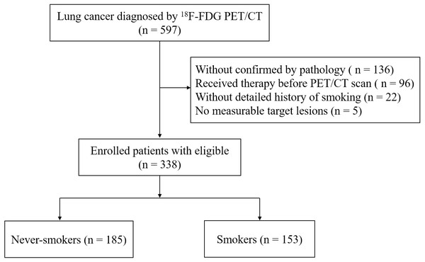 Flowchart of patient selection.