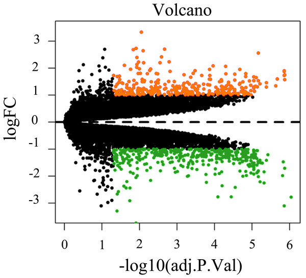 Volcano plot of all differentially expressed genes between BMSCs from middle-aged and old donors.