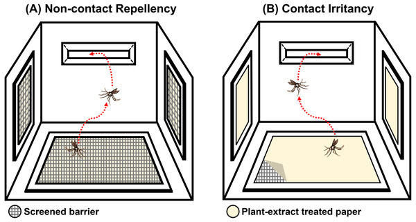 Illustration of the (A) non-contact and (B) contact chambers of excito-repellency assay system configurations.