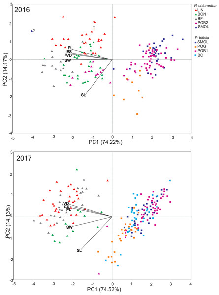 PCA analysis of floral traits in P. bifolia and P. chlorantha studied populations in 2016 and 2017.