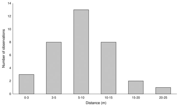 Distance of registered pollen flow observed between color-marked flowers of two Platanthera species.