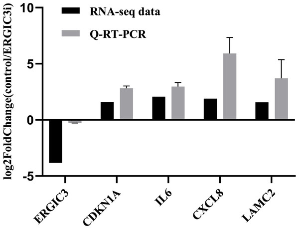 Validation of RNA-Seq data by Q-RT-PCR.