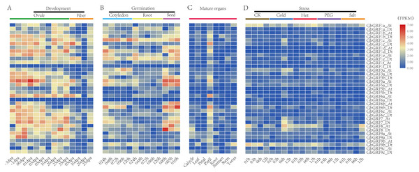 Expression analysis of GhGRF genes in G. hirsutum TM-1.