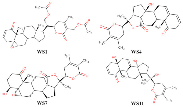  2D structures of compounds. (WS1) withafastuosin D, (WS4) withaphysalin D, (WS7) withaphysalin N, and (WS11) withasomniferol C.