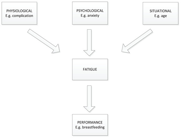 A framework for the study of mother’s fatigue during the childbearing experience.