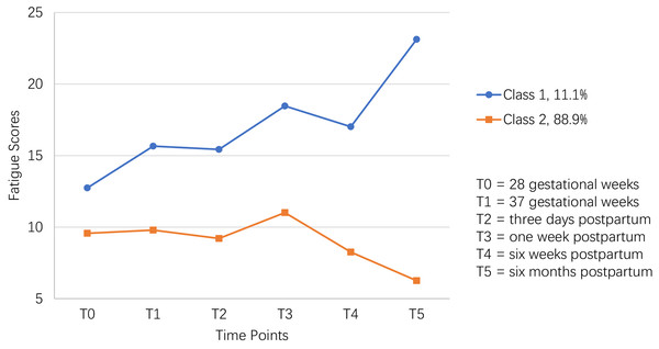 The two-class model of perinatal fatigue trajectory among women from late pregnancy to 6 months after delivery in this study.