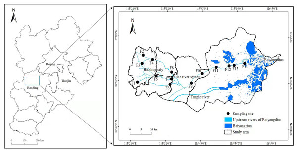 Distribution of sampling sites in one of inflow river systems of Baiyangdian–Fuhe river system (FRS).