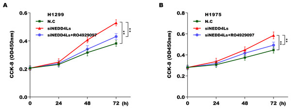 Downregulated NEDD4L contributed LUAD cell proliferation by activating Notch signaling.