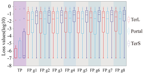 The loss value distributions of TP and FP for the three phage proteins on the mock metagenomic dataset.