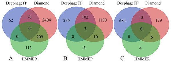 Venn diagrams of the prediction results of three methods (i.e., DeephageTP, Diamond and HMMER) on the metagenomic dataset (SRR5192446).