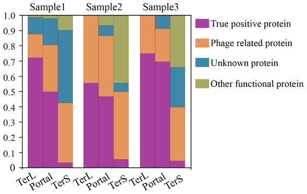 Verification of the three phage proteins identified by DeephageTP from the metagenome datasets.